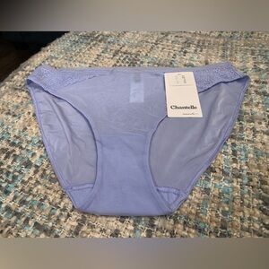 NWT Chantelle Revele Moi Brief Alize Blue Medium